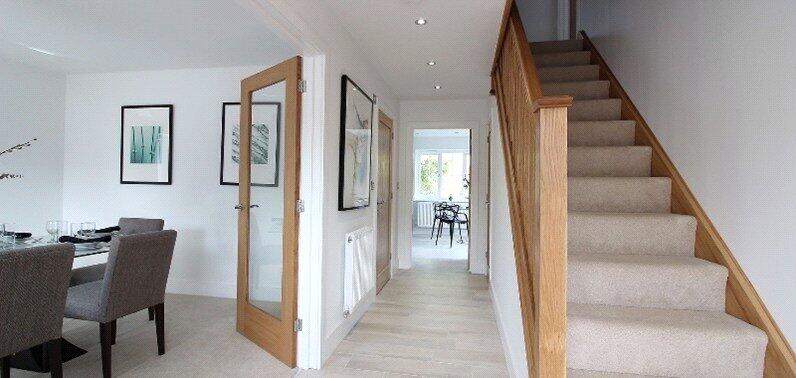 Previous Development