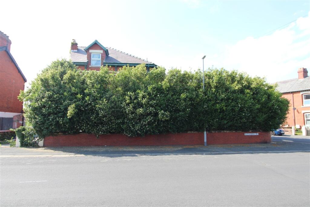 IMG 5865  Medium  T202507011133.jpg