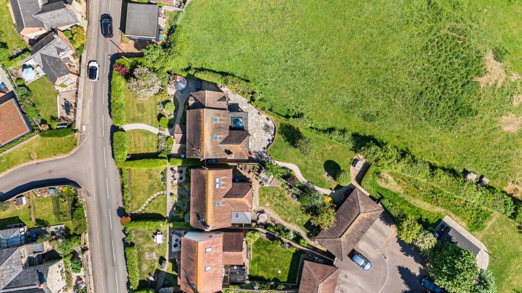 Birds Eye