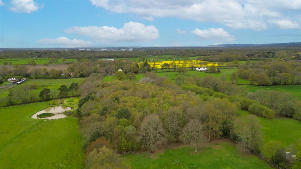 Woodland Ariel View