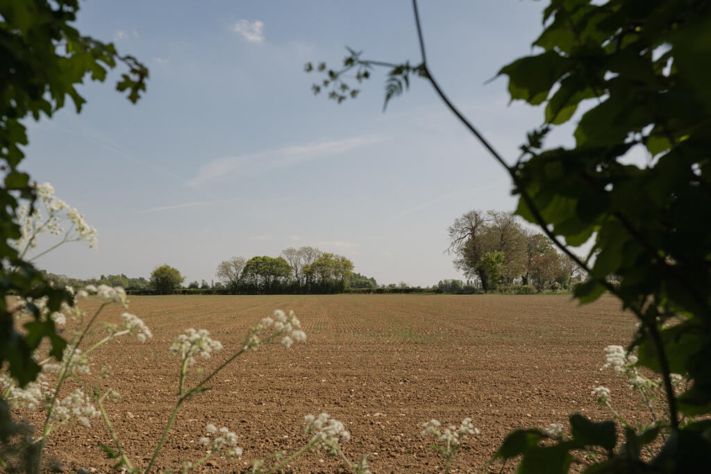 280894 - Nine Elms, Ringshall (exteriors)-9-2.jpg