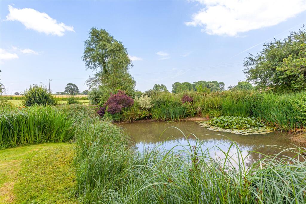 Pond