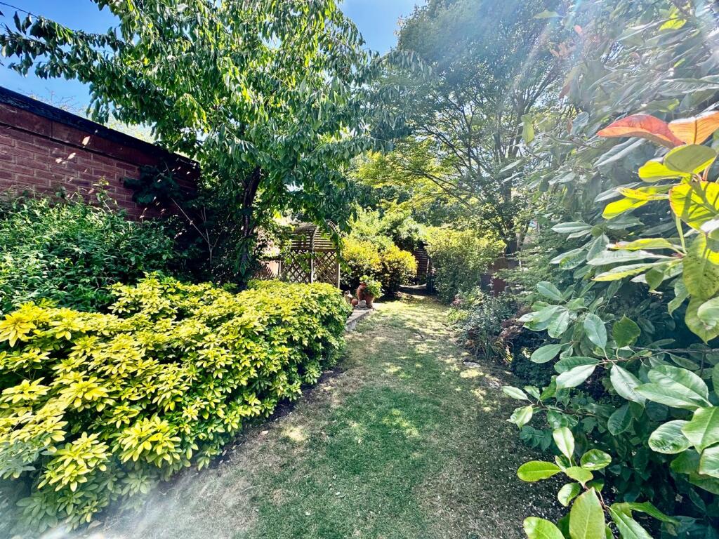 Lawn &amp; Shrubs