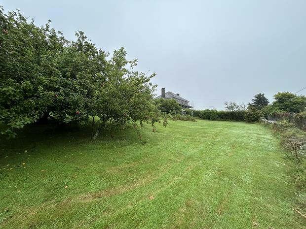Orchard