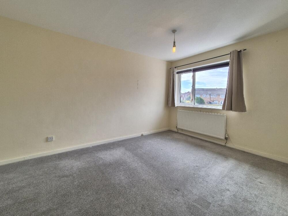 20250728_155421_resized