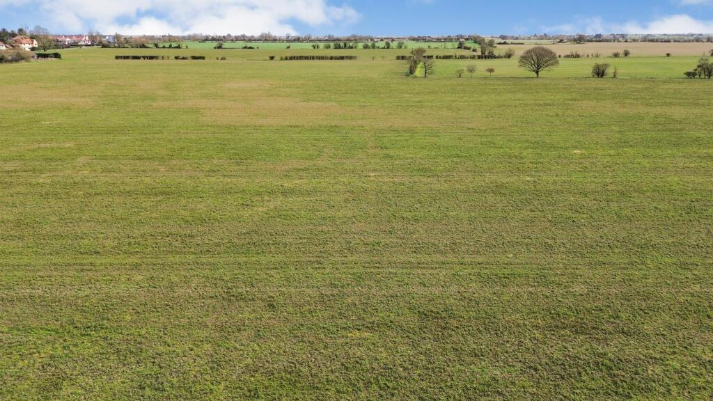 DJI_0081_1.jpg