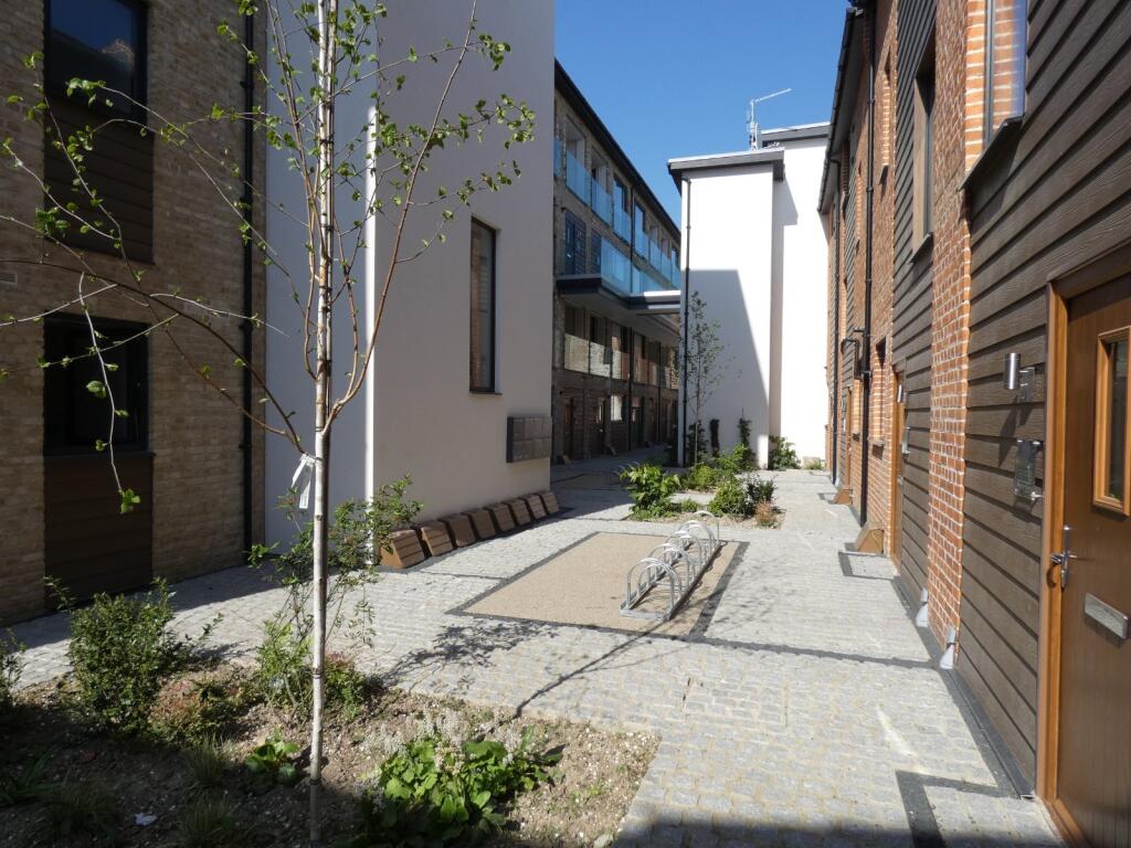 Picture 8