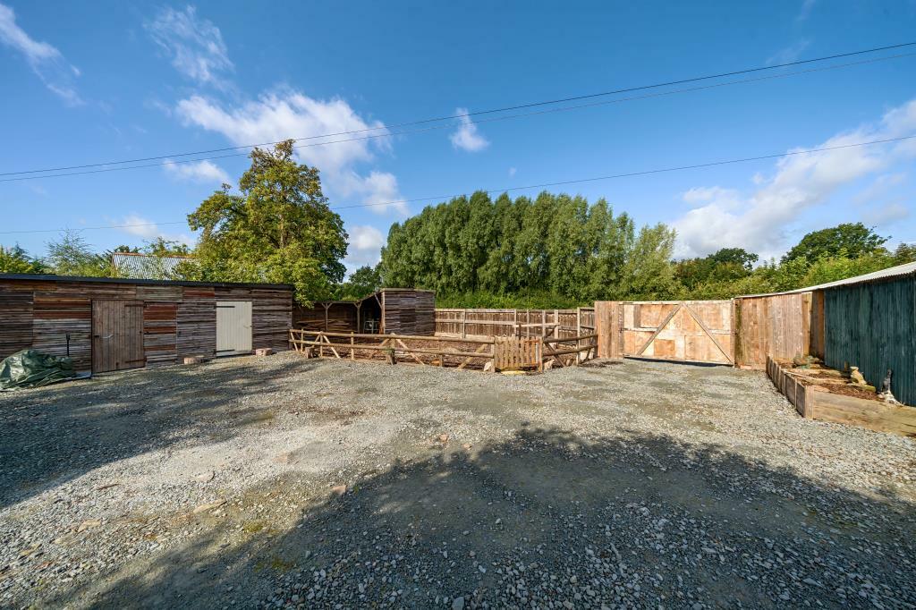 Photos