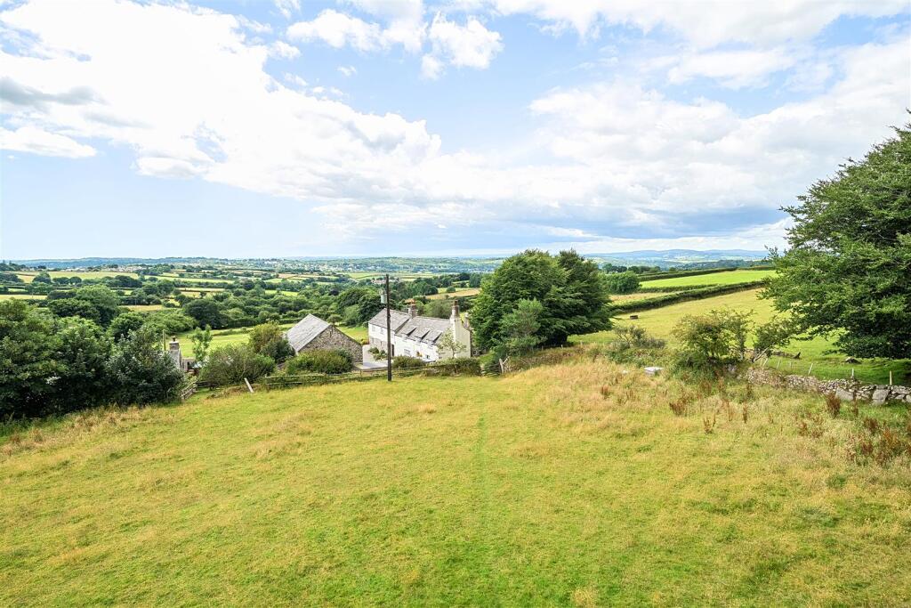 Elevated from Paddock