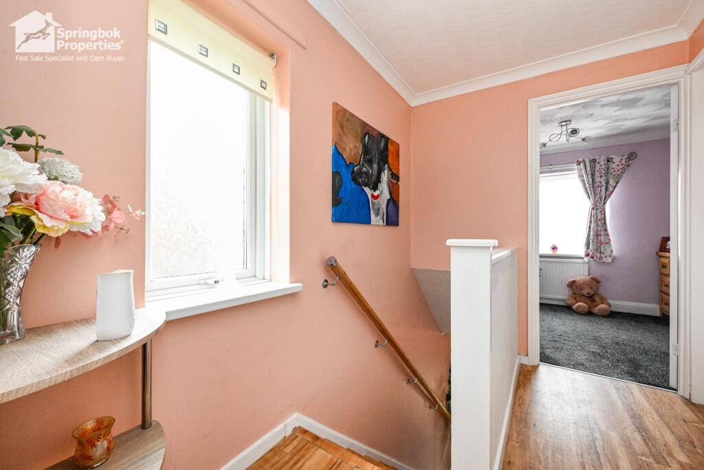 IMAGE 10