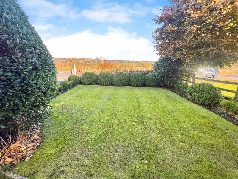 Front garden