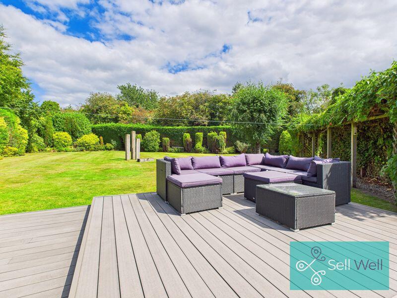 Back garden