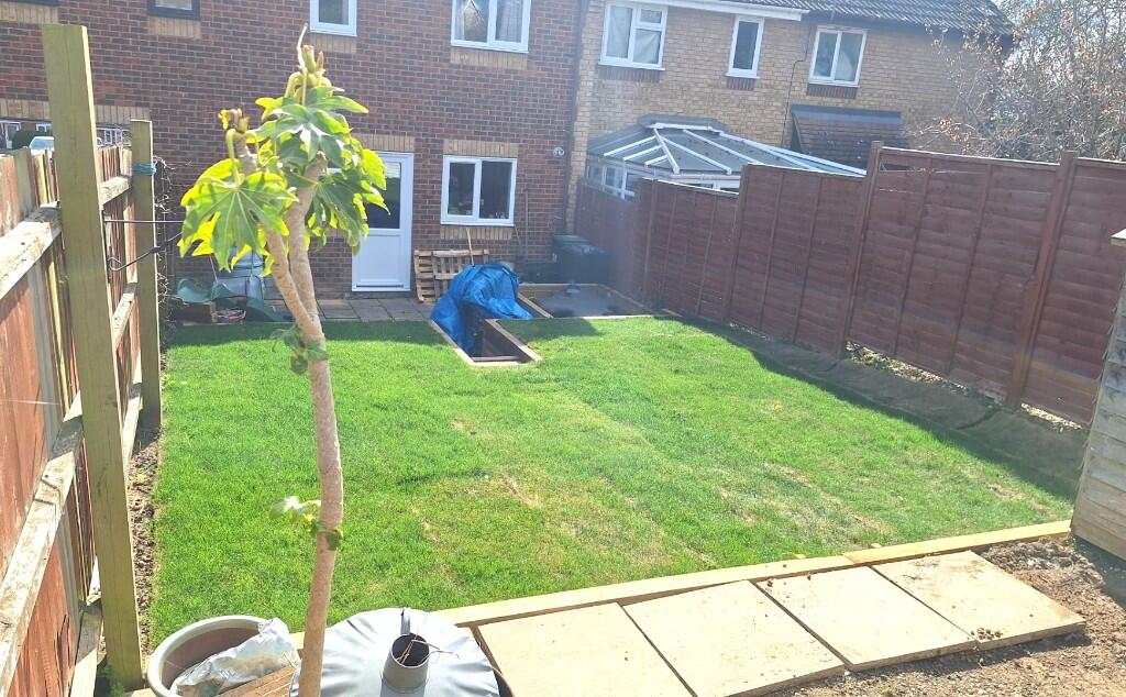 Garden 