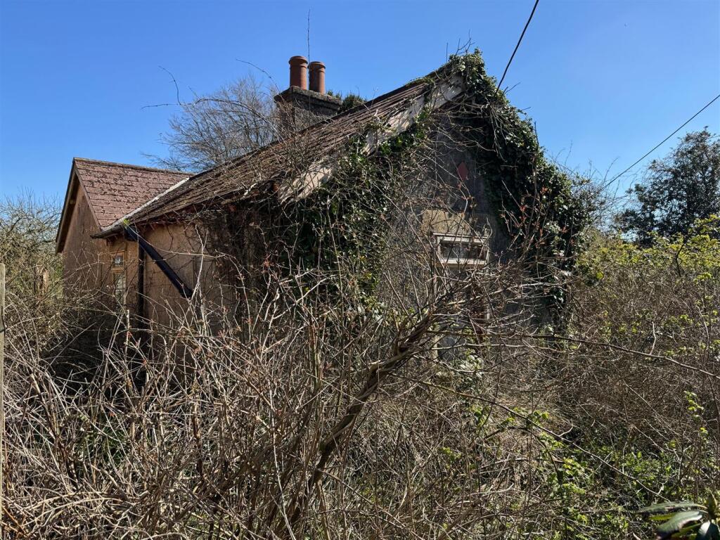 41998-new 54 single 2.jpg