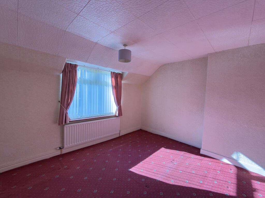 IMG 5146 T202509282048.jpg