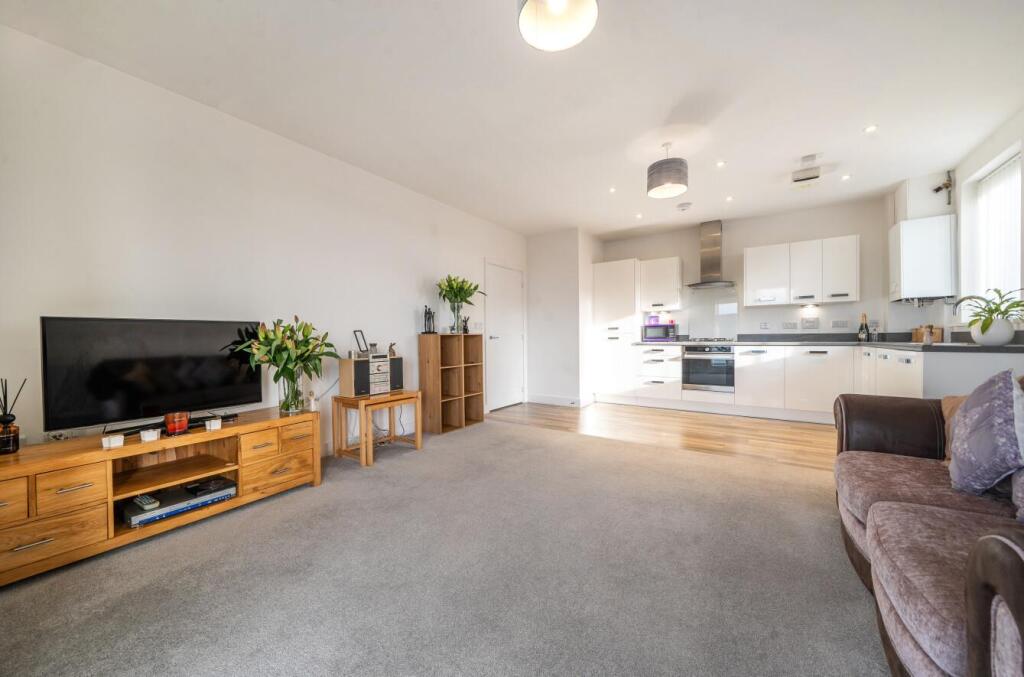 Living / Kitchen area