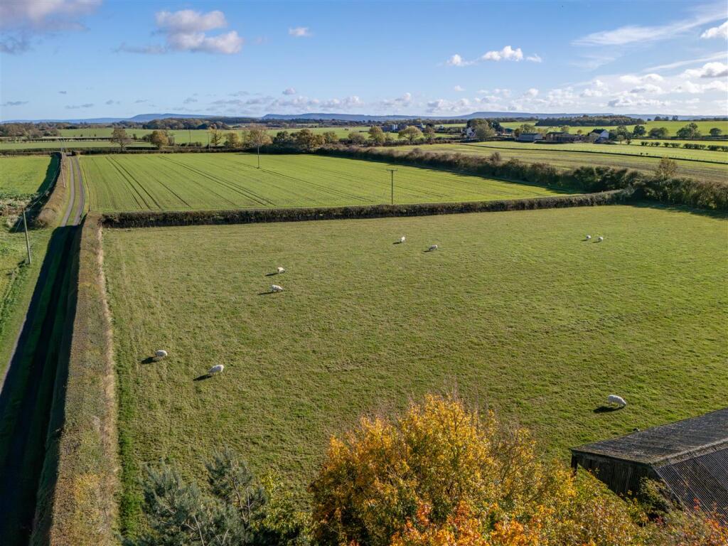 Watson Field Farm Paddock and Arable Field East