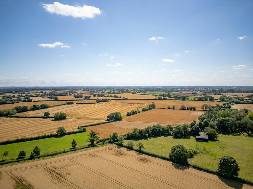DJI_0225