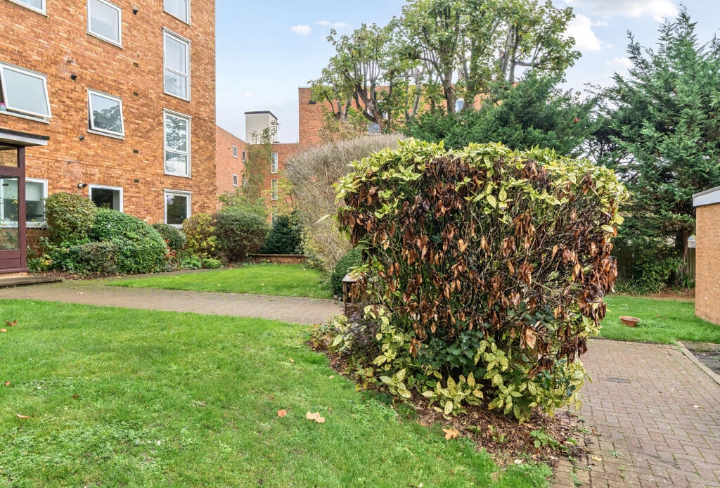 Communal Grounds