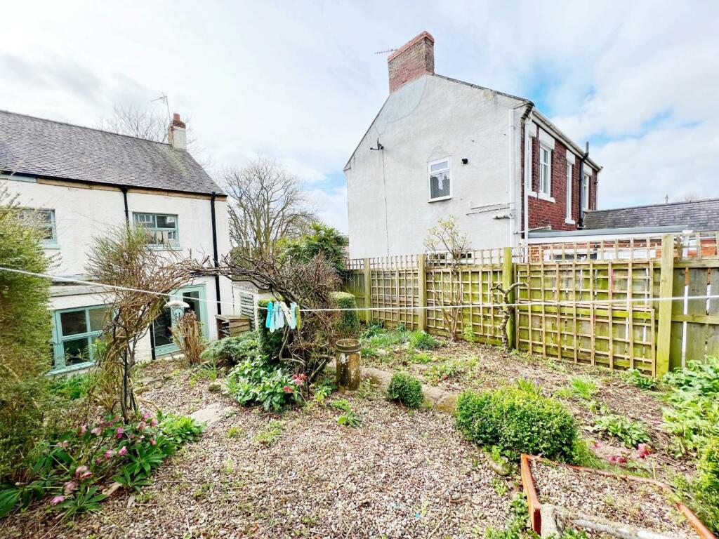 Garden pic 3.jpg