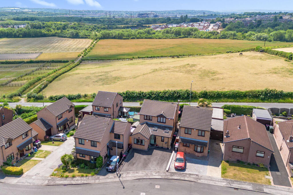 Tlc_e46363a9-d9d8-4383-b426-de809e472cae_f2a6545