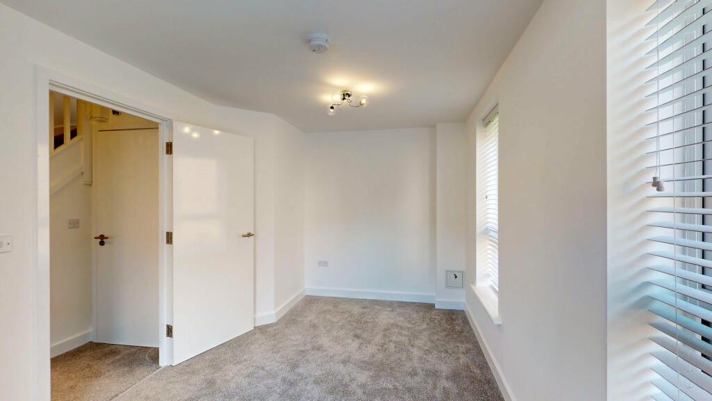 35-Copper-Beech-10052023_174303