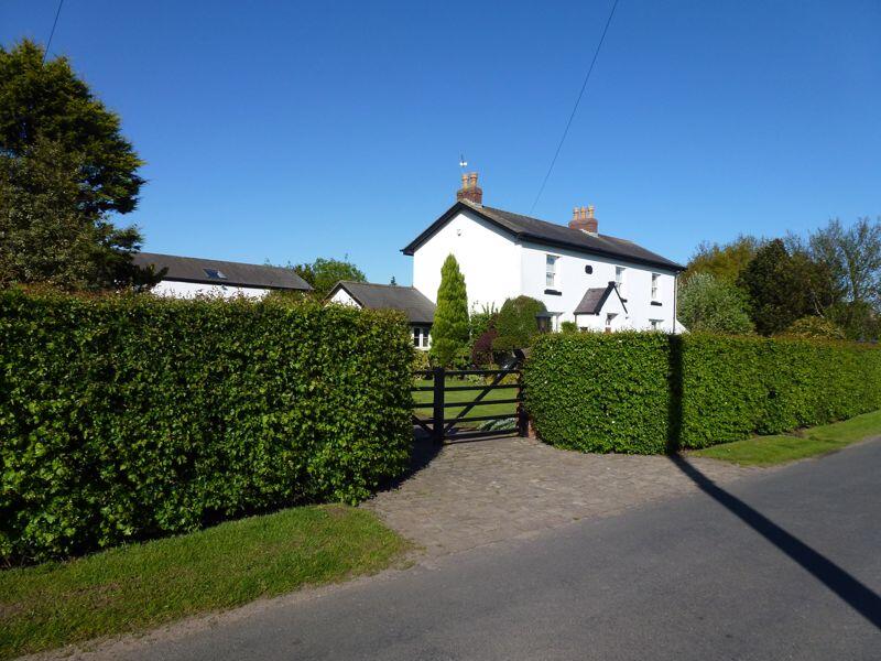 Photo 46