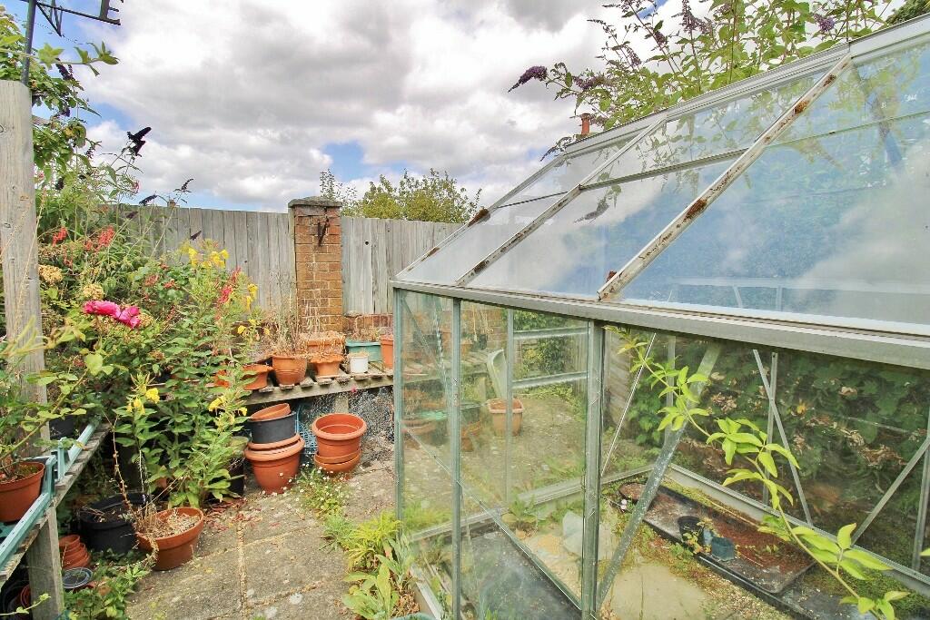 IMG_5531 (1024x68...