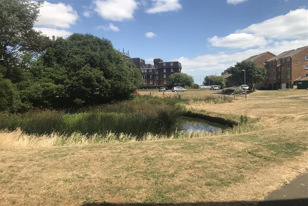 Duck pond