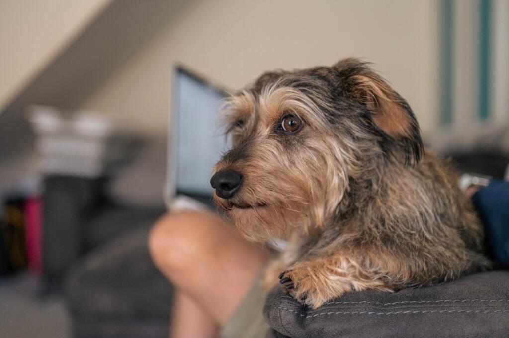 Award-winning Media team on EVERY Listing_13