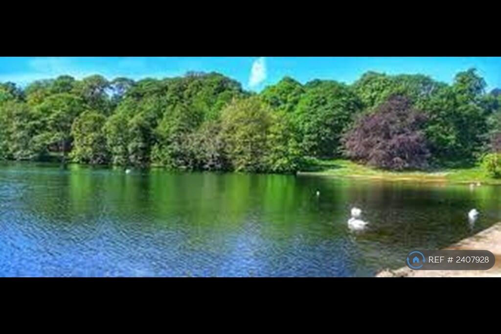 Roundhay Park Lake