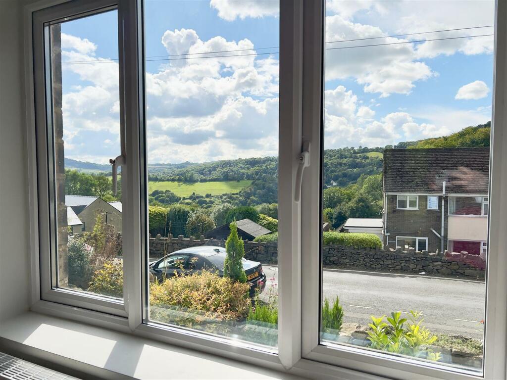 Window view