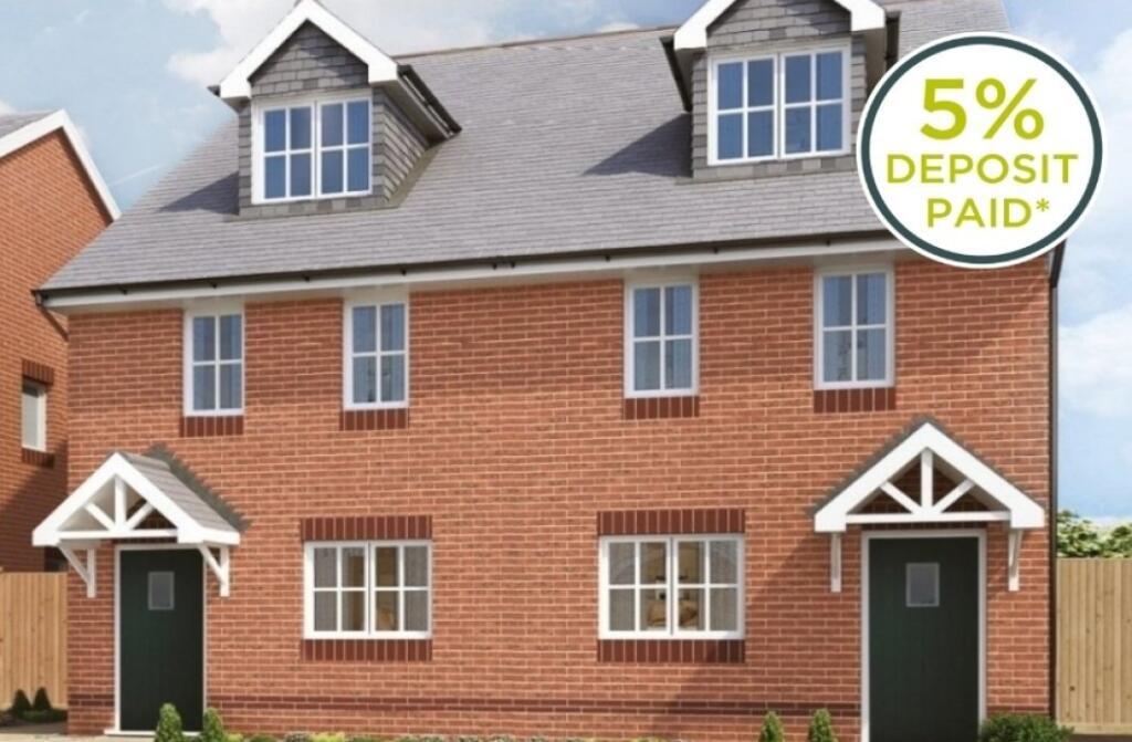 Oxford Max - Balmora