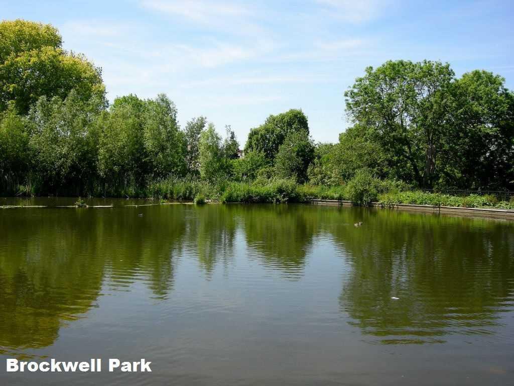 Eden Harper Medora Road