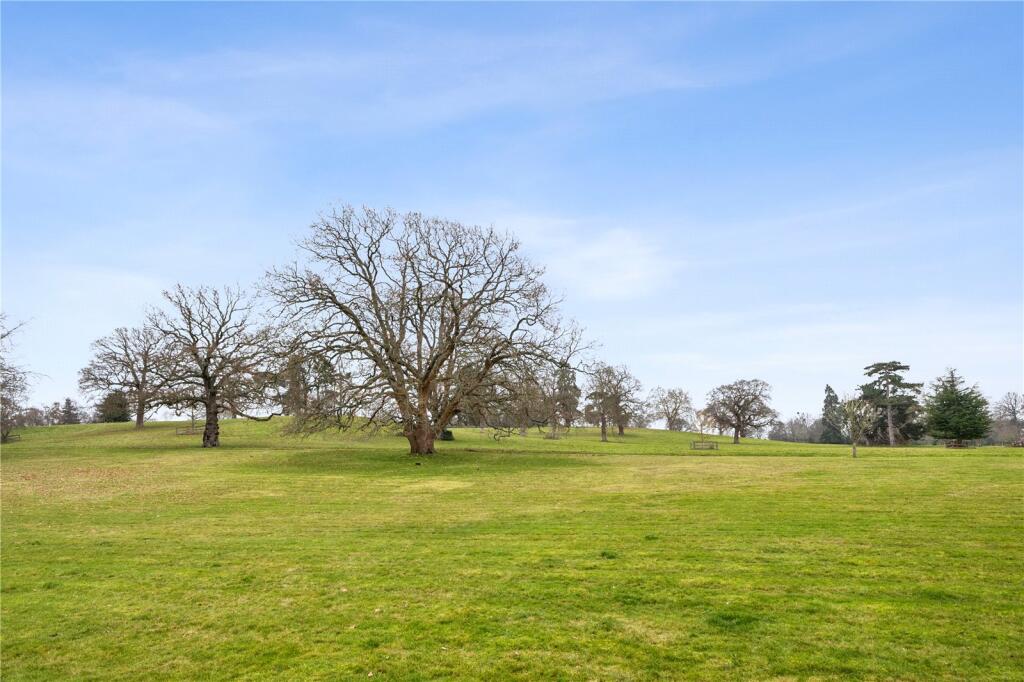 Grounds