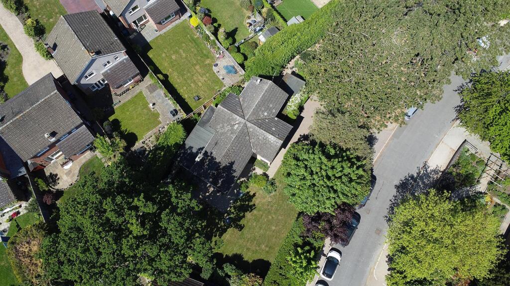 DJI_0196.jpg