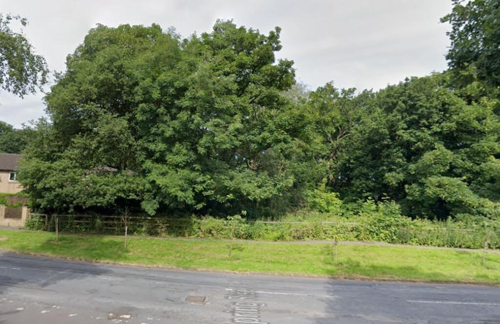 Street View Rooms T202502241213.jpg