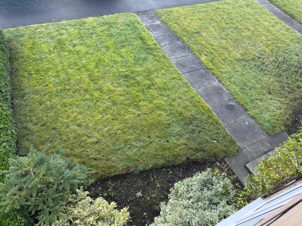 FRONT GARDEN