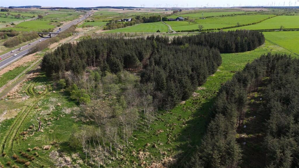 Laighmuir Woodland