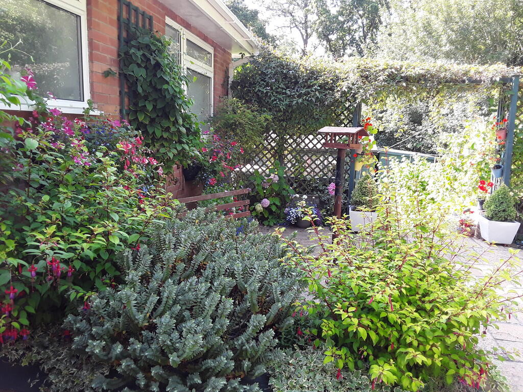 garden shot 3