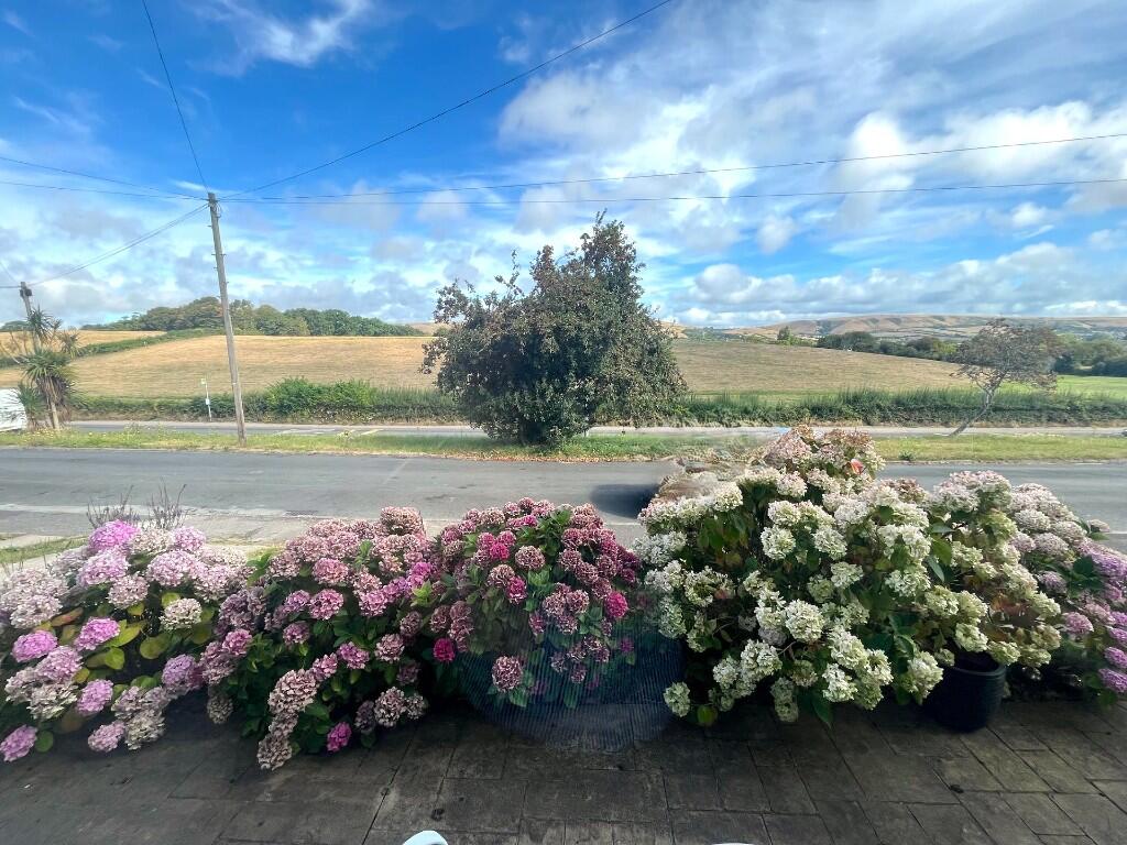 View from lounge