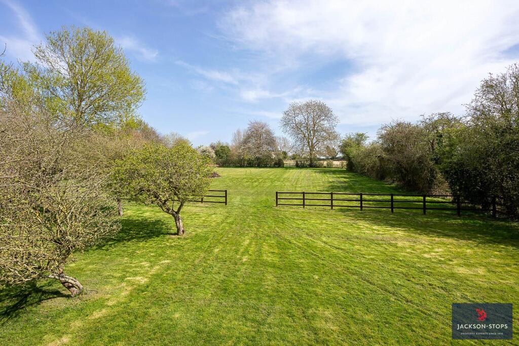 Orchard &amp; Paddock