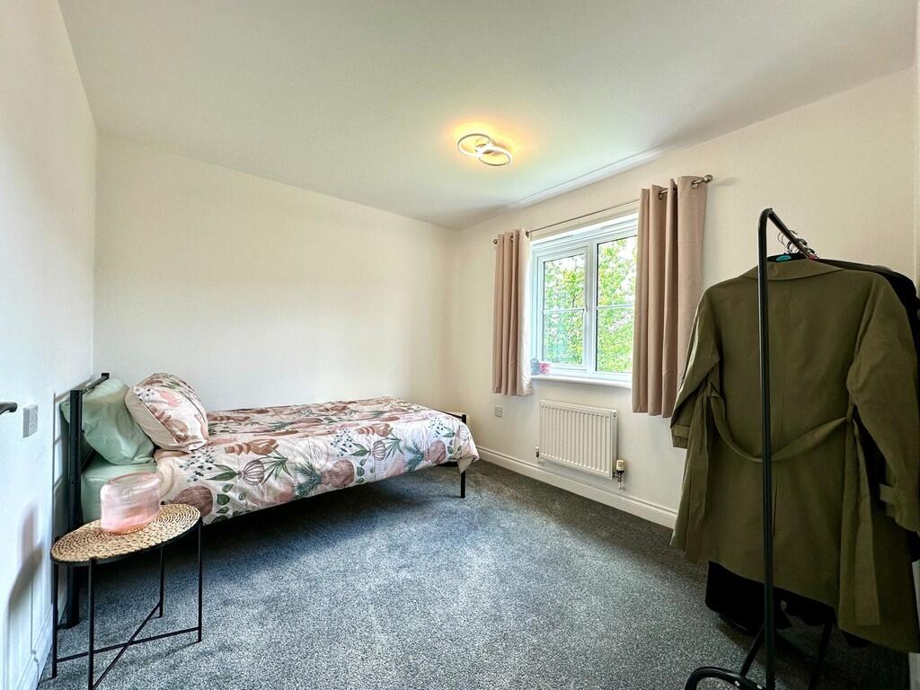 WhatsApp Image 20...