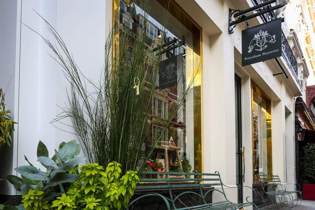 Petersham Deli Ki...