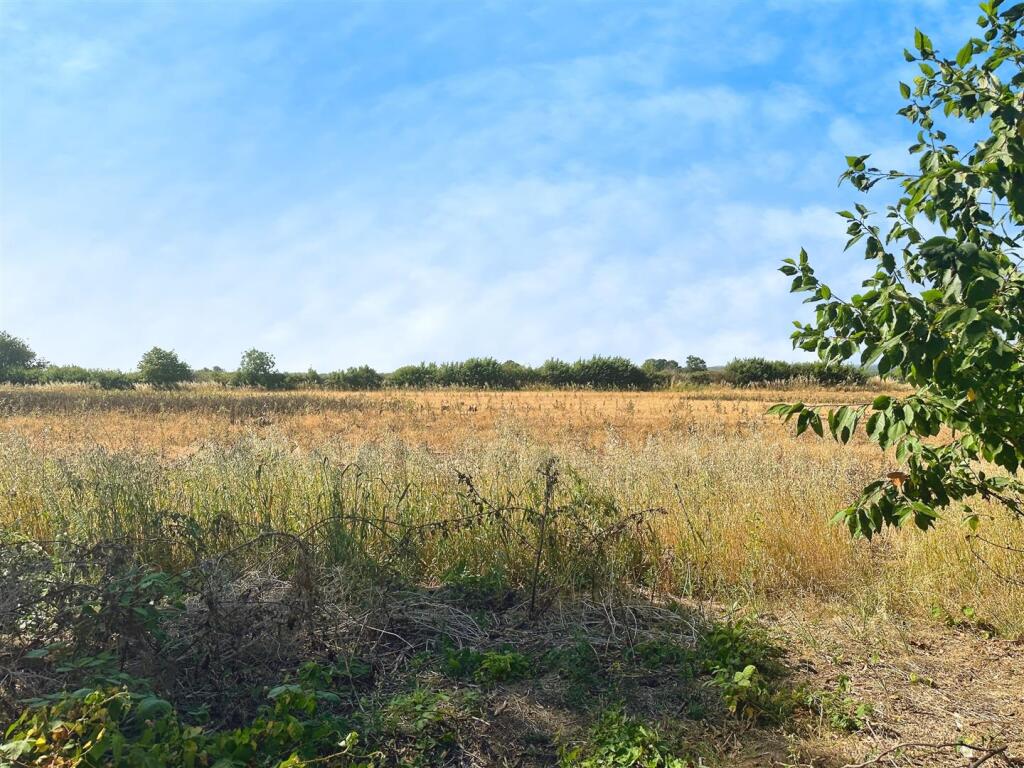 d8bce422--409B-A738-8B58707E4E51-18204-0000071DB78