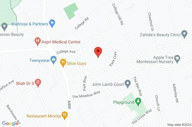 Google Maps Image