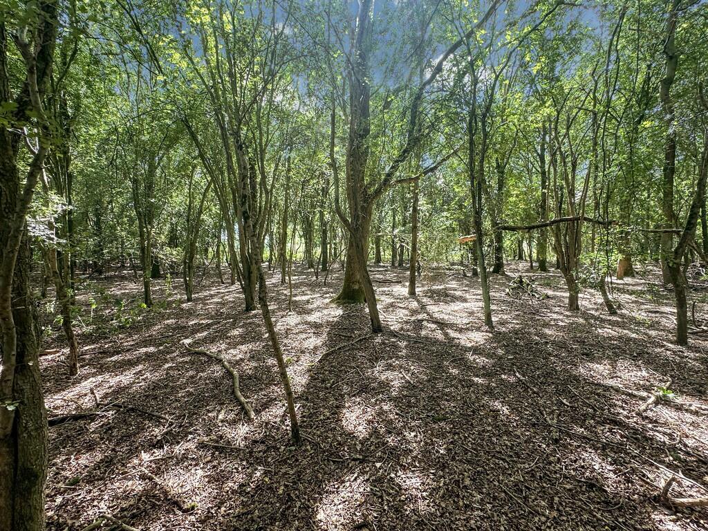 20240815_12321863...