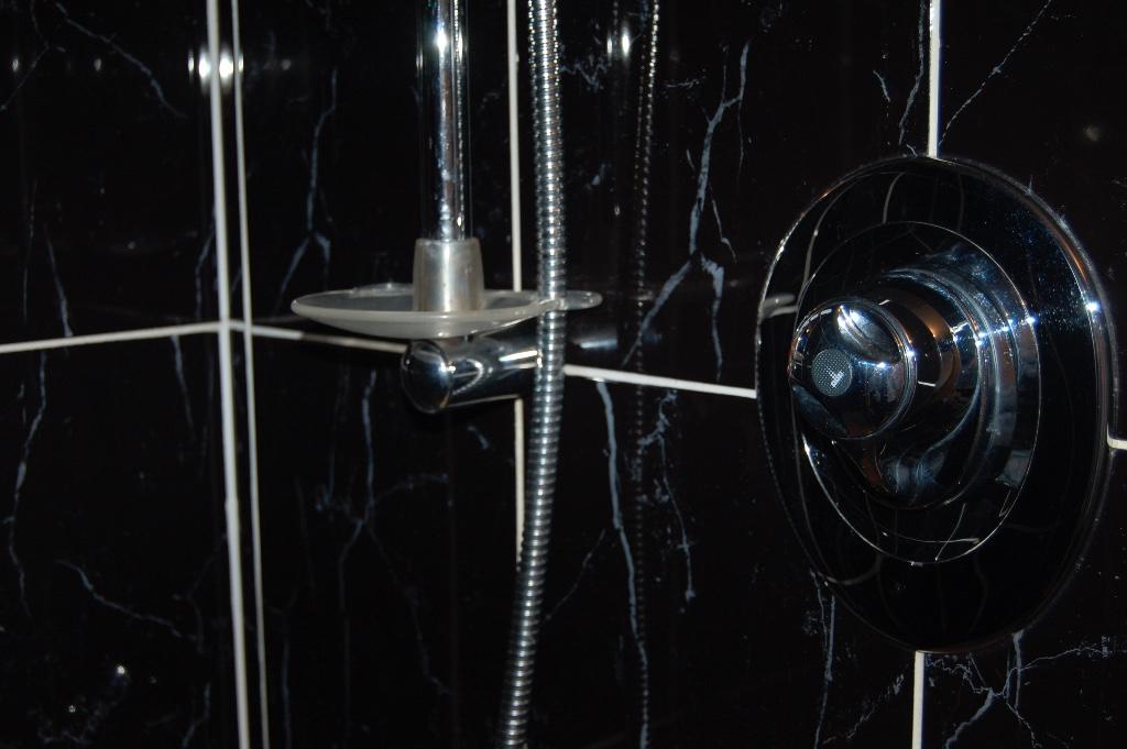 Shower Fitment