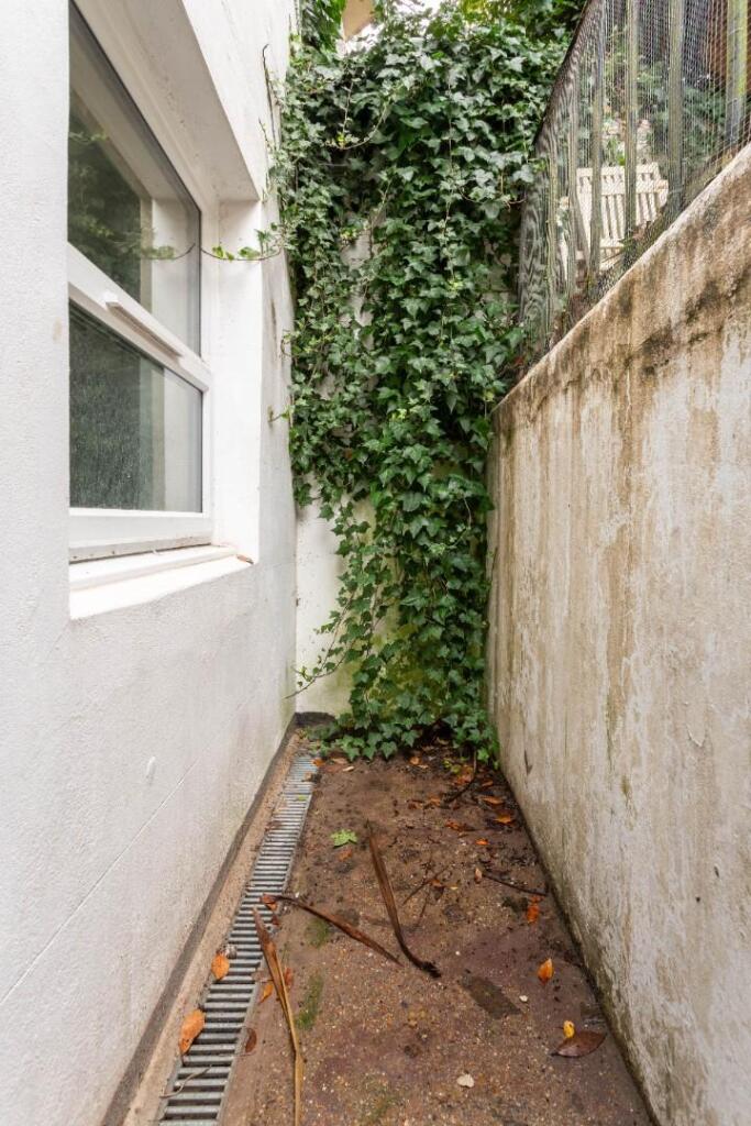 garden (1).jpg