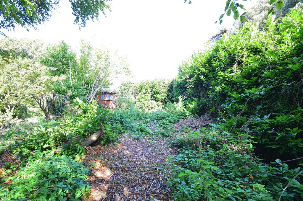 resizedGarden3.jpg